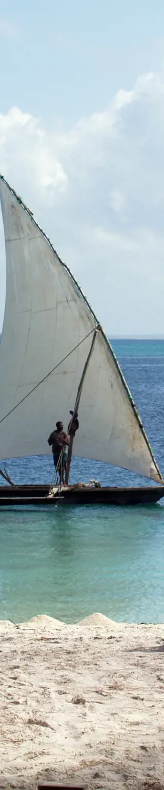 Lasse dich verwöhnen auf der tropischen Insel Pemba